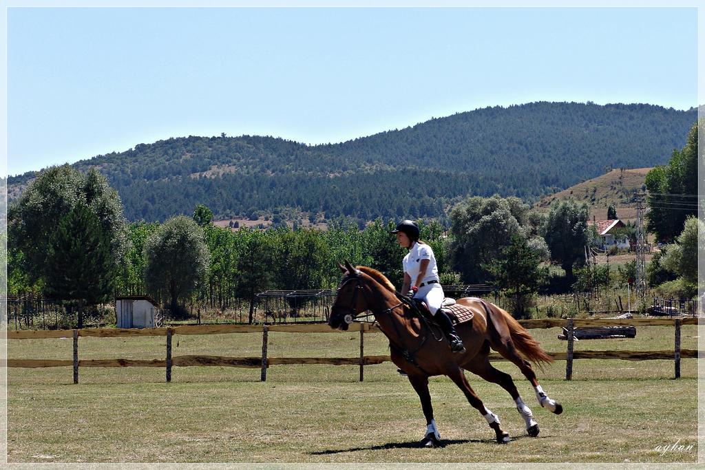 Iksir Resort Town Daday Εξωτερικό φωτογραφία