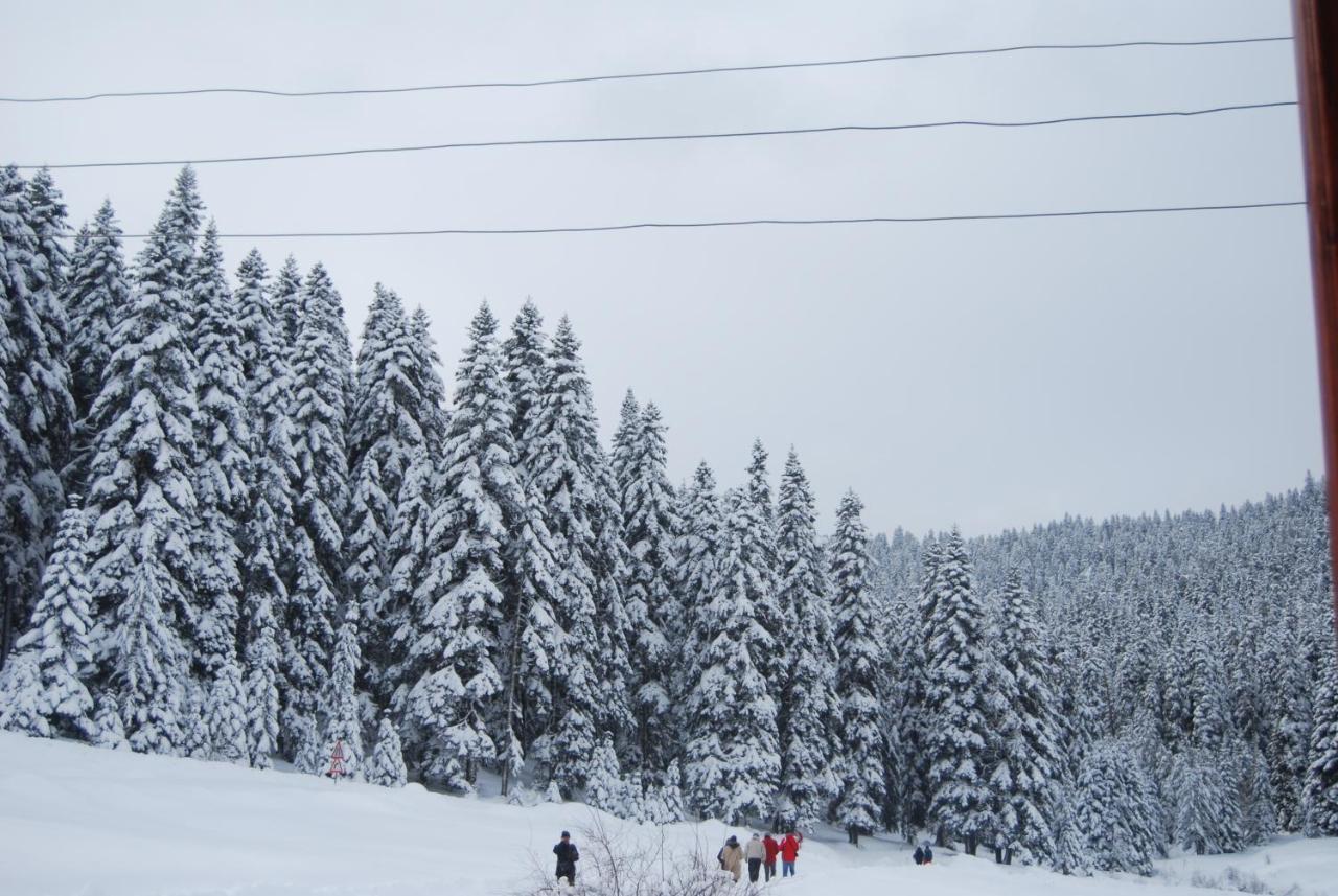 Iksir Resort Town Daday Εξωτερικό φωτογραφία