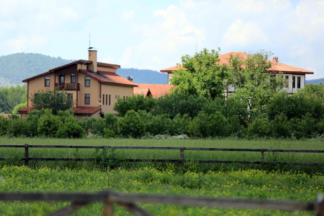 Iksir Resort Town Daday Εξωτερικό φωτογραφία